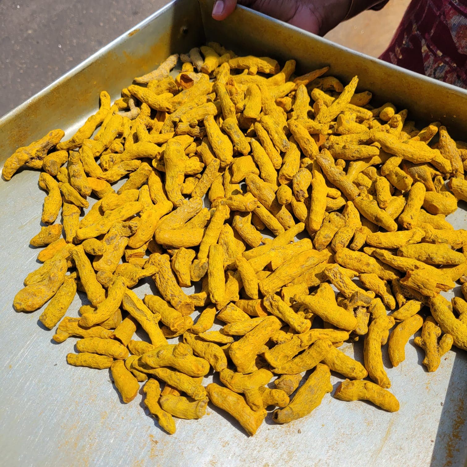 Turmeric